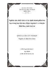 Đề tài Nghiên cứu chiết tách và xác định thành phần hóa học trong hạt tiêu đen (Piper nigrum L.) ở huyện Đăk Đoa, tỉnh Gia Lai