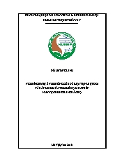 Đề tài Nghiên cứu sự ảnh hưởng của dải hội tụ nhiệt đới và rãnh gió mùa tới chế độ mưa trên khu vực đồng bằng bắc bộ