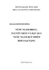 Đề tài Nước ngầm đồng bàng sông Cửu Long, nguyên nhân và hậu quả nước ngầm bị ô nhiễm kim loại nặng