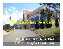 Đề tài Quang phổ học biến điệu