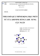 Đề tài Theo dỏi quá trình động học phân tử của adenine bằng lade xung cực ngắn