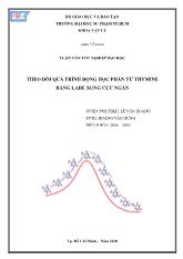 Đề tài Theo dõi quá trình động học phân tử thymine bằng lade xung cực ngắn