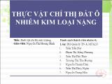 Đề tài Thực vật chỉ thị đất ô nhiễm kim loại nặng