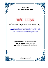 Đề tài Tìm hiểu sự xuất hiện và tiến hóa của hệ tuần hoàn ở động vật