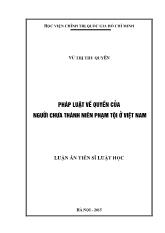 Luận án Pháp luật về quyền của người chưa thành niên phạm tội ở Việt Nam