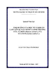 Luận văn Ảnh hưởng của độc tố vi khuẩn lam lên sự nảy mầm và sinh trưởng của cà rốt (daucus carota l.) và xà lách (lactuca sativa l.)