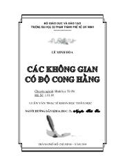 Luận văn Các không gian có độ cong hằng