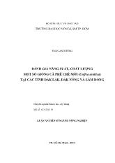 Luận văn Đánh giá năng suất, chất lượng một số giống cà phê chè mới (coffea arabica) tại các tỉnh Đắk lắk, Đắk nông và Lâm Đồng