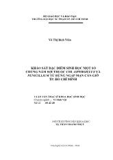 Luận văn Khảo sát đặc điểm sinh học một số chủng nấm sợi thuộc chi aspergillus và penicillium từ rừng ngập mặn Cần Giờ tp. Hồ Chí Minh