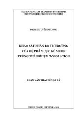 Luận văn Khảo sát phân bố từ trường của hệ phân cực kế muon trong thí nghiệm t - Violation