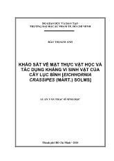 Luận văn Khảo sát về mặt thực vật học và tác dụng kháng vi sinh vật của cây lục bình [eichhornia crassipes (mart.) solms]