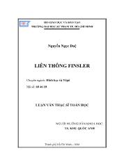 Luận văn Liên thông finsler