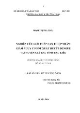 Luận văn Nghiên cứu giải pháp can thiệp nhằm giảm nguy cơ sốt xuất huyết dengue ở huyện Giá Rai, tỉnh Bạc Liêu
