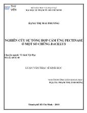 Luận văn Nghiên cứu sự tổng hợp cảm ứng pectinase ở một số chủng Bacillus