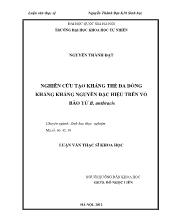 Luận văn Nghiên cứu tạo kháng thể đa dòng kháng kháng nguyên đặc hiệu trên vỏ bào tử b. anthracis