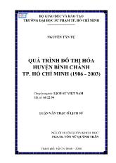 Luận văn Quá trình đô thị hóa huyện bình chánh TP Hồ Chí Minh (1986 - 2003)