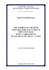 Luận văn Thử nghiệm tạo chế phẩm corynebacterium glutamicum trên chất mang kappa – carrageenan để ứng dụng thu nhận l - Lysine