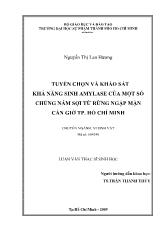 Luận văn Tuyển chọn và khảo sát khả năng sinh amylase của một số chủng nấm sợi từ rừng ngập mặn cần giờ tp. Hồ Chí Minh