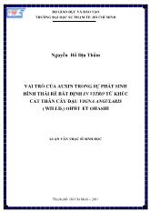Luận văn Vai trò của auxin trong sự phát sinh hình thái rễ bất định in vitro từ khúc cắt thân cây đậu vigna angularis (willd) ohwi et ohashi
