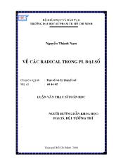 Luận văn Về các radical trong pi. đại số