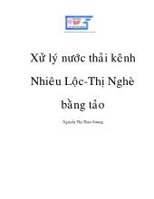 Luận văn Xử lý nước thải kênh Nhiêu Lộc - Thị Nghè bằng tảo