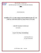 Nghiên cứu và thu nhận enzym protease từ các chủng nấm sợi ở rừng ngập mặn Cần Giờ