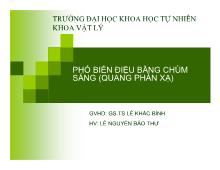 Phổ biến điệu bằng chùm sáng (quang phản xạ)