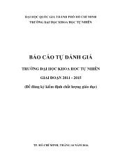 Báo cáo tự đánh giá Trường đại học khoa học tự nhiên giai đoạn 2011 - 2015