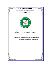 Đề tài Các hiện tượng, hiệu ứng dẫn đến ô nhiễm môi trường và biến đổi khí hậu toàn cầu