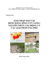 Tổng luận Xâm nhập mặn tại đồng bằng sông Cửu Long: Nguyên nhân, tác động và các giải pháp ứng phó