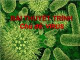 Bài thuyết trình - Chủ đề: Virus