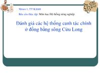 Báo cáo Đánh giá các hệ thống canh tác chính ở đồng bằng sông Cửu Long