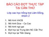 Báo cáo đợt thực tập trồng trọt tại Cần Thơ