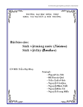 Báo cáo Sinh vật màng nước (Neiston) Sinh vật đáy (Benthos)