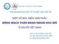 Một số đặc điểm giải phẫu động mạch thận đoạn ngoài nhu mô ở người Việt Nam