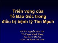 Triển vọng của tế bào gốc trong điều trị bệnh lý tim mạch