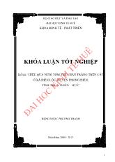 Đề tài Hiệu quả nuôi tôm thẻ chân trắng trên cát ở xã Điền lộc, huyện Phong điền, tỉnh Thừa thiên – Huế