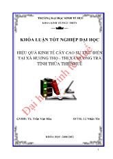 Khóa luận Hiệu quả kinh tế cây cao su tiểu điền tại xã Hương Thọ - Thị xã Hương Trà tỉnh Thừa Thiên Huế