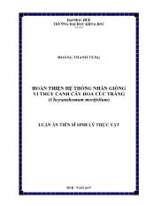 Luận án Hoàn thiện hệ thống nhân giống vi thủy canh cây hoa Cúc Trắng