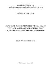 Luận án Năng suất của doanh nghiệp nhỏ và vừa ở Việt Nam: vai trò của xuất khẩu, hoạt động đổi mới và môi trường kinh doanh