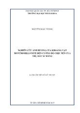 Luận án Nghiên cứu ảnh hưởng của khoáng vật montmorillonite đến cường độ chịu nén của trụ đất xi măng