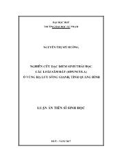 Luận án Nghiên cứu đặc điểm sinh thái học các loài sâm đất (sipuncula) ở vùng hạ lưu Sông Gianh, tỉnh Quảng Bình