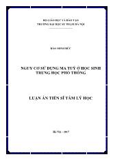 Luận án Nguy cơ sử dụng ma tuý ở học sinh trung học phổ thông