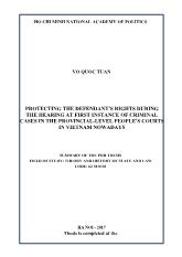Luận án Protecting the defendant’s rights during the hearing at first instance of criminal cases in the provincial-Level people’s courts in Vietnam nowadays